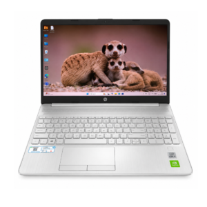 HP 15s-du1079tx (Core i5-10210U)