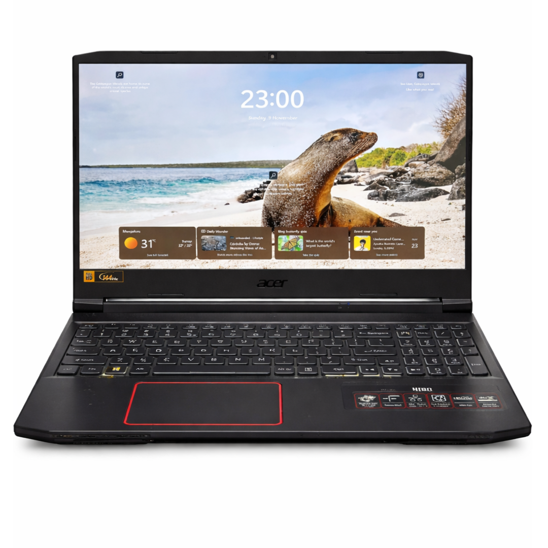 Acer Nitro 5 AN515-43 (GTX 1650)